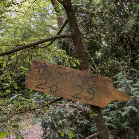 Veluwe Nature - 2 Persons