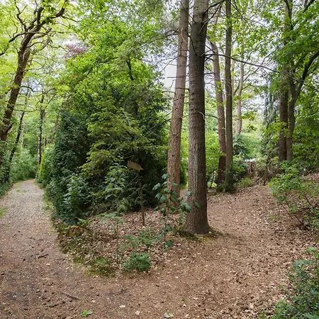 Veluwe Nature - 2 Persons * אוטרלו