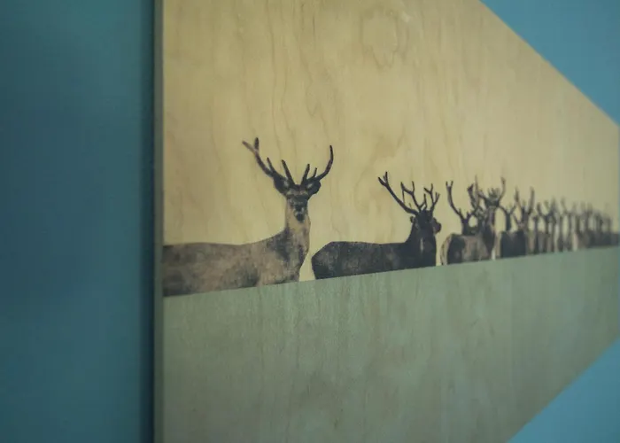 Apartment Veluwe Nature - 2 Persons Otterlo