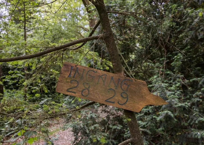 Veluwe Nature - 2 Persons