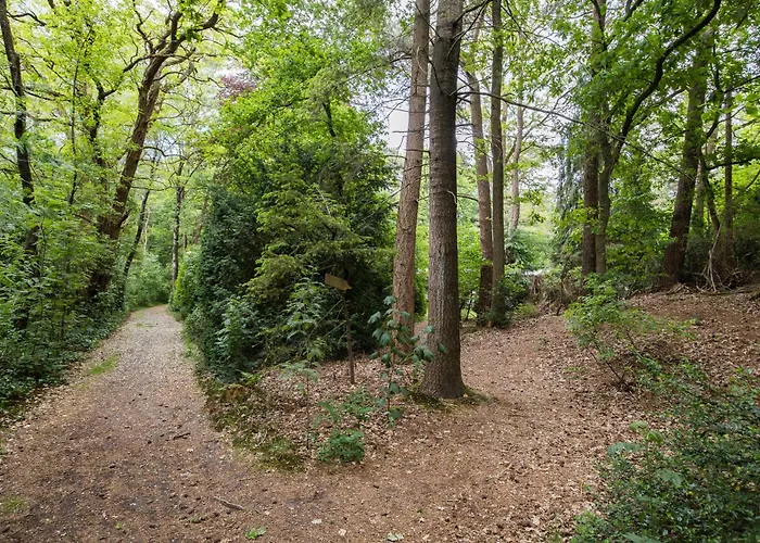 Veluwe Nature - 2 Persons * אוטרלו