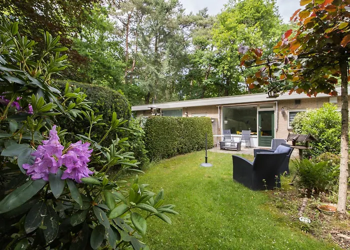 Veluwe Nature - 2 Persons Apartment *